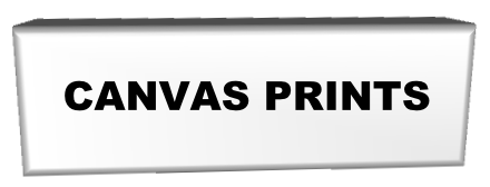 CANVAS PRINTS

