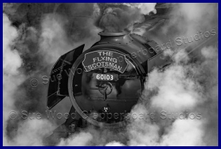 STEAM TRAINS